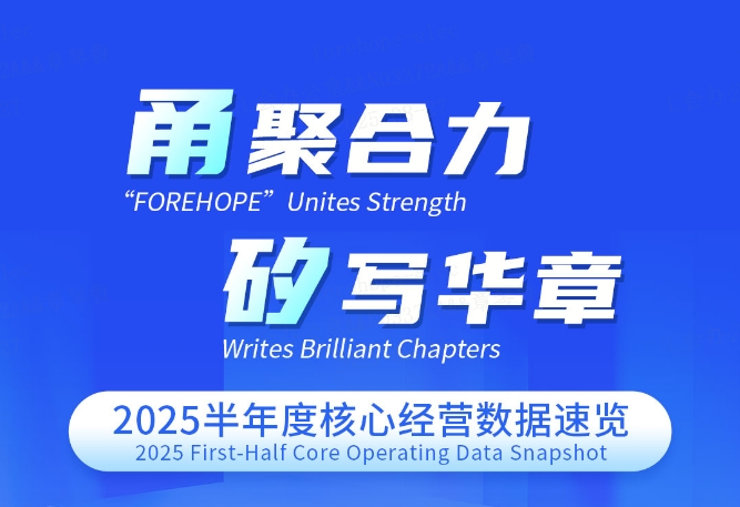 「甬」聚合力「矽」写华章丨2025半年度核心经营数据速览